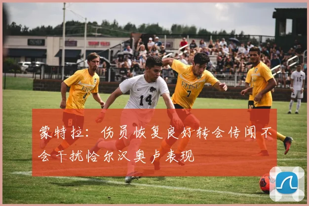 蒙特拉：伤员恢复良好转会传闻不会干扰恰尔汉奥卢表现